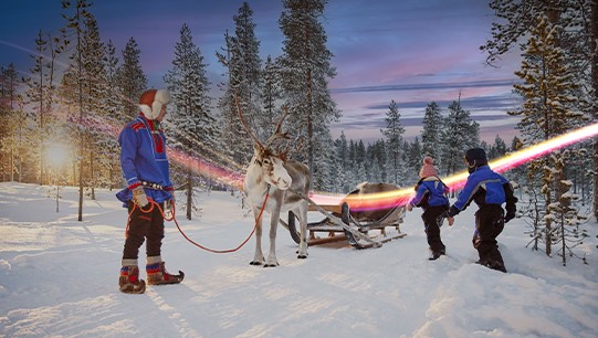 Sleigh Ride at Lapland